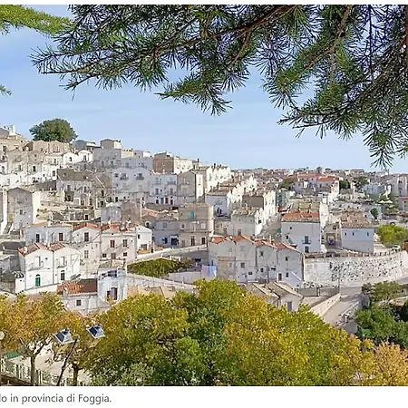 House Gargano Hotel 3*